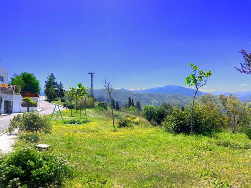 a field of green grass with mountains in the background at CASA LOS ABETOS cerca de la Alhambra y Sierra Nevada in Cenes de la Vega