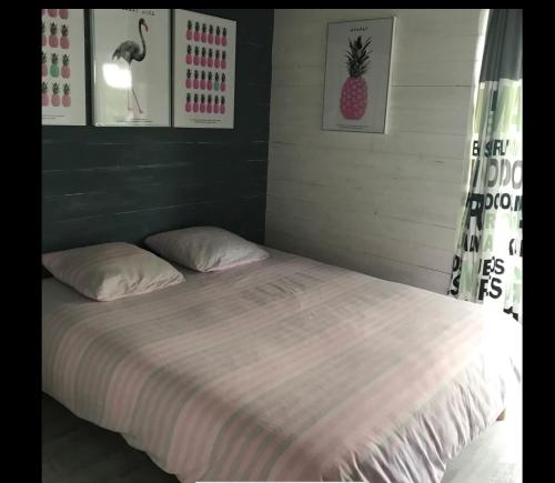 un letto con due cuscini in una stanza di La villa cassy a Lanton