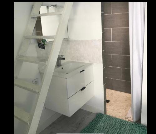 bagno bianco con lavandino e doccia di La villa cassy a Lanton