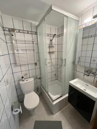a bathroom with a toilet and a shower and a sink at Meta pod dębem in Bielsko-Biała