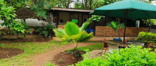 ein Haus mit einem Tisch und einem grünen Sonnenschirm in der Unterkunft Kafka Gardens in Kisumu