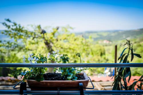 a potted plant sitting on a railing on a balcony at Il risveglio del Poggio in Castiglione dʼOrcia