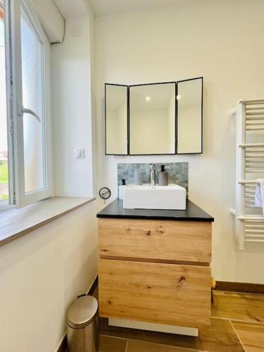 La salle de bains est pourvue d'un lavabo et d'un miroir sur une commode. dans l'établissement La Maison L’oiseau Bleu, à Saint-Victor-de-Morestel