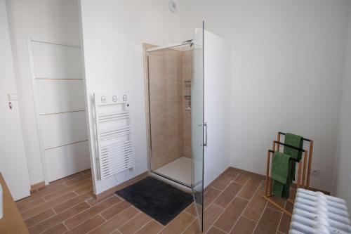 um chuveiro com uma porta de vidro num quarto em Maison du Bien-être em Yvré-le-Pôlin