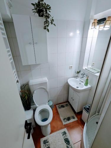 a small bathroom with a toilet and a sink at Peaceful Victory Square Home in Timişoara