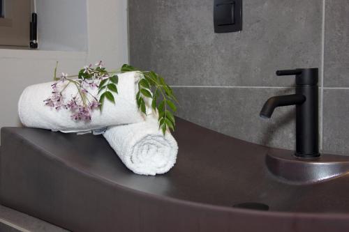 a roll of towels sitting on top of a sink at Lithorama Residence Mani Complex in Koúmani