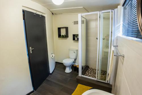 a bathroom with a shower and a toilet at 19th Hut in Pretoria