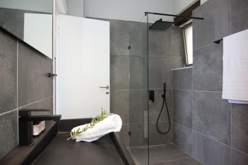 a bathroom with a shower with a glass door at Lithorama Residence Mani Complex in Koúmani