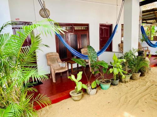 a room with a bunch of plants and hammocks at Tropicana Home Stay in Arugam Bay