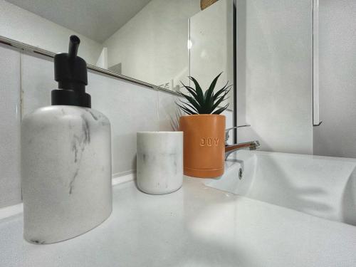 a bathroom with a soap dispenser and a plant on a counter at Doux Rouinet cocoon in Fourques