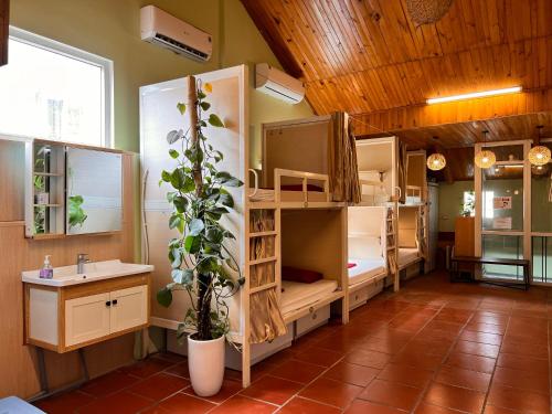 een kamer met een stapelbed, een wastafel en een plant bij Hanoi EcoStay 1 hostel in Hanoi