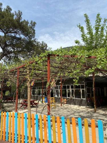 Gallery image of Olympos Camlık Pension in Olympos