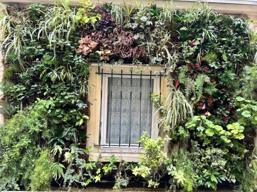 une fenêtre recouverte de plantes et de fleurs sur un bâtiment dans l'établissement Hotel du Dragon, à Paris
