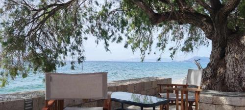 two chairs and a table under a tree next to the water at House On The Wave in Marathokampos