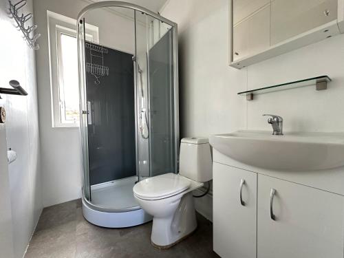 La salle de bains est pourvue d'une douche, de toilettes et d'un lavabo. dans l'établissement Cabin in Faukás, west part of Iceland - Birta Rentals, à Fossatún