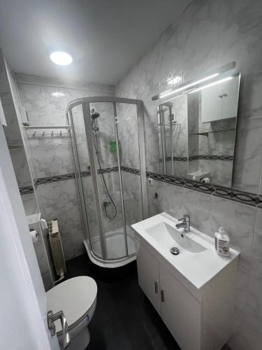 y baño con ducha, lavabo y aseo. en Alojamiento SAN DIEGO, en Madrid
