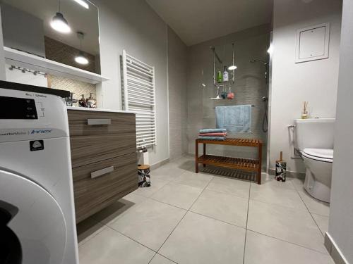 une salle de bain avec un lavabo et des toilettes dans l'établissement T2 avec jardinet parking la genette, à La Rochelle