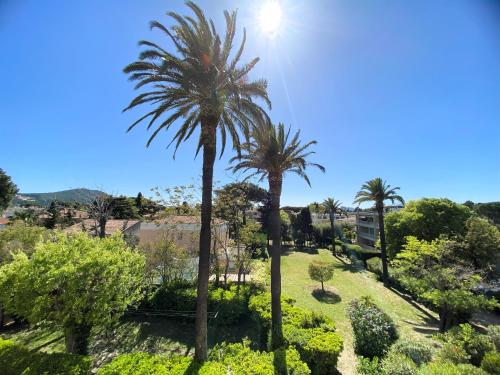 un groupe de palmiers dans un parc dans l'établissement T5 rénové à 4 min de la plage, à Saint-Cyr-sur-Mer