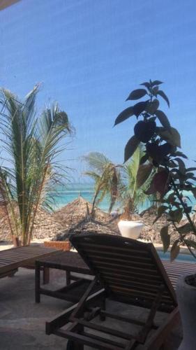 a chair and a table and a plant on a beach at SunSeaBar Beach Resort in Kendwa