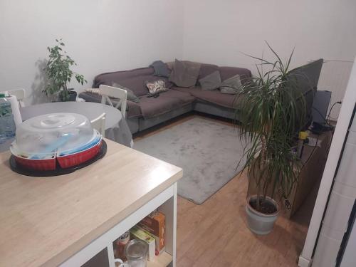 un salon avec un canapé et une table dans l'établissement Appartement JO Stade de France, à Aubervilliers