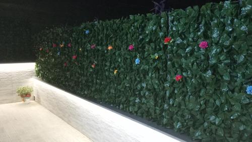 Ein Garten an der Unterkunft IL RE TRITONE