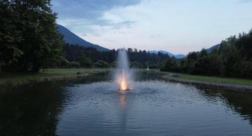 a fountain in the middle of a body of water at Hotel Aplis in Ovaro