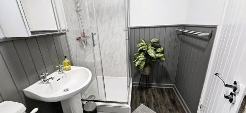 a bathroom with a shower and a sink and a toilet at Spacious 2 Bed Flat in Central Plymouth in Plymouth