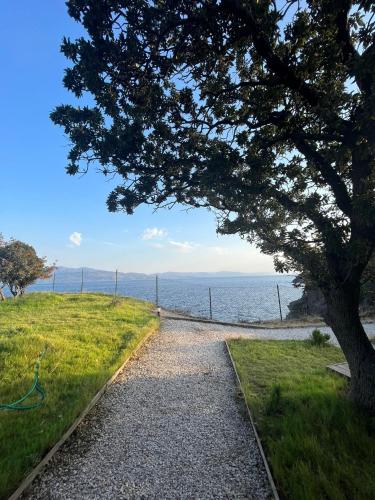 un camino de grava junto al océano con un árbol en Veranda Glamping en Ayvacık