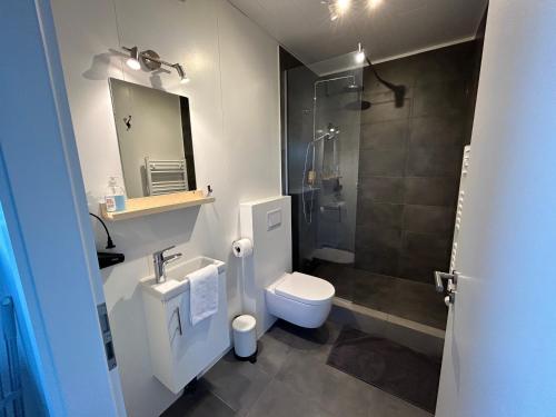 a bathroom with a shower and a toilet and a sink at Apartment Skógafoss in Skogar