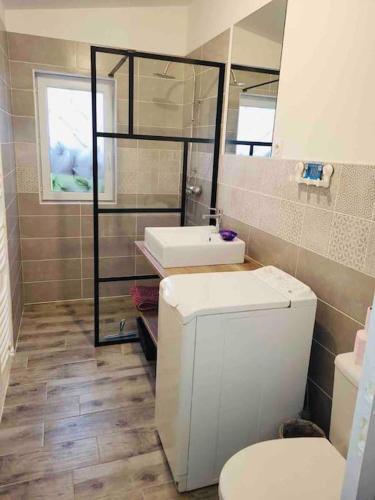une salle de bain avec toilettes et lavabo dans l'établissement La Madeleine,Agréable appartement au calme, à Bergerac