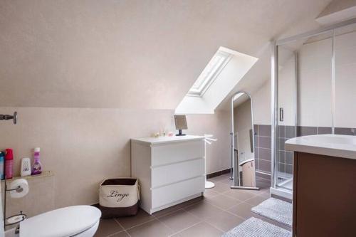 a bathroom with a toilet and a sink and a skylight at Chez Maria chambre chez l'habitant in Milly-la-Forêt