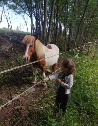 a little girl standing next to a horse behind a fence at Chalet 2 étoiles - ef0bde in Neffes