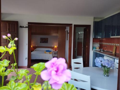 Kuchyň nebo kuchyňský kout v ubytování Apartamentos la Escuela en Cantabria