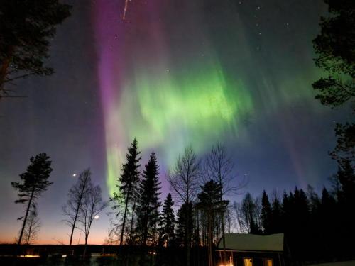 zorza polarna na niebie z drzewami i domem w obiekcie Holiday Home Villa vonka by Interhome w mieście Korpikylä