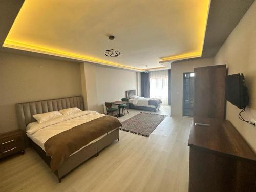 ErkizanにあるAhlat 1071 Otel&Restaurantのベッドルーム1室(ベッド1台付)、リビングルームが備わります。