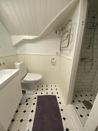 a small bathroom with a toilet and a sink at Kyrkvik Lysekil in Lysekil
