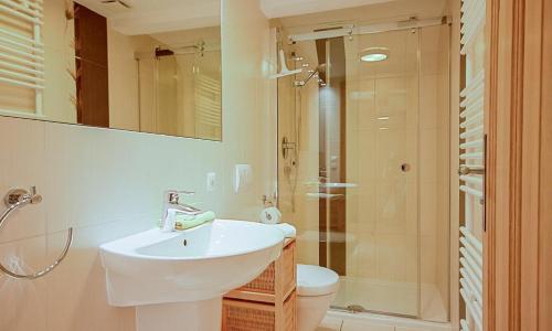 a bathroom with a sink and a shower and a toilet at Haus zu den Büschen 04 in Wustrow