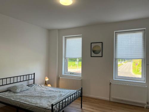1 dormitorio con 1 cama y 2 ventanas en Modern apartments for employees and families in Altenburg, en Altemburgo