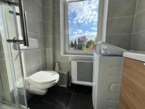 baño pequeño con aseo y ventana en Modern apartments for employees and families in Altenburg, en Altemburgo
