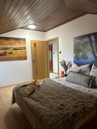 Postel nebo postele na pokoji v ubytování Chata Jana Dedinky