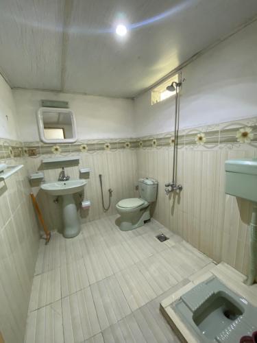 a bathroom with a toilet and a sink at Rainbow Resort Kachura in Karachi
