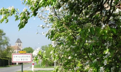 a sign in front of a tree with white flowers at Cocon à la campagne in Chilleurs-aux-Bois