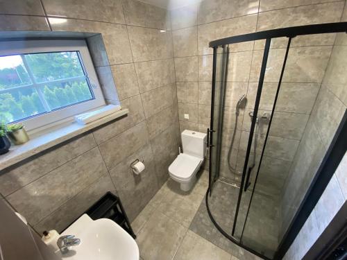 een badkamer met een douche, een toilet en een wastafel bij Trakų Namelis in Trakai