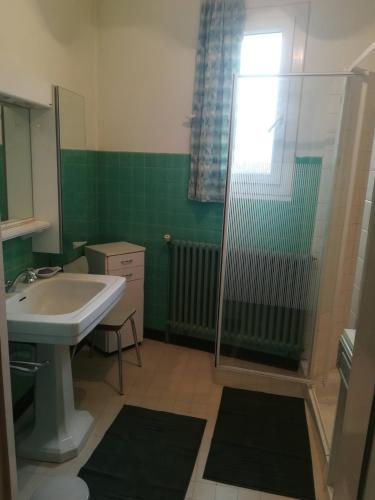 une salle de bain avec un lavabo et une douche dans l'établissement Authentique maison du 17e siècle dans propriété viticole, idéalement située, à Sablet