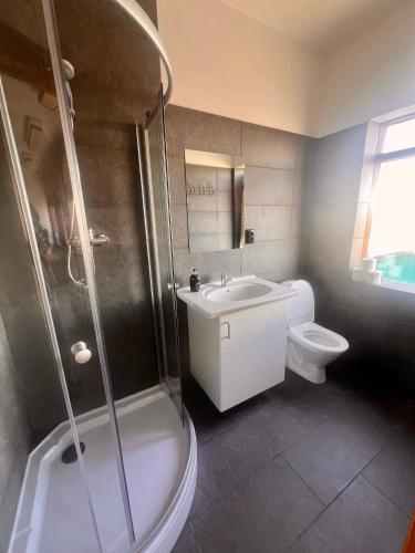 a bathroom with a toilet and a sink and a shower at Fisherinn Guesthouse in Stokkseyri