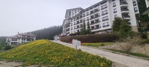 a street with buildings and a field of yellow flowers at Elit Pamporovo Accommodation in Pamporovo