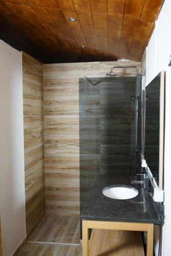 ein Badezimmer mit einem Waschbecken und einer Holzdecke in der Unterkunft Patio zen in Nîmes