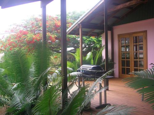 une terrasse avec un barbecue dans une maison ornée de plantes dans l'établissement Hibiscus House, à Flying Fish Cove