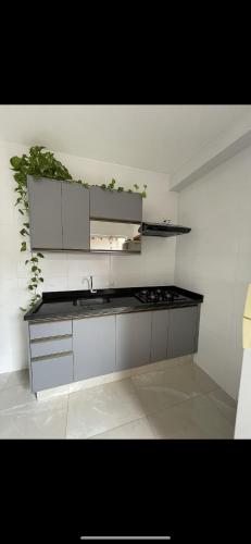 a kitchen with a sink and a counter top at Casa para Agrishow 5min in Ribeirão Preto