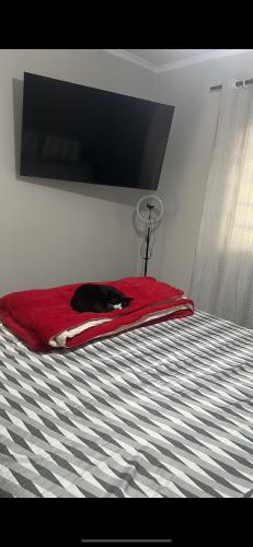 um gato deitado em cima de uma cama em Casa para Agrishow 5min em Ribeirão Preto